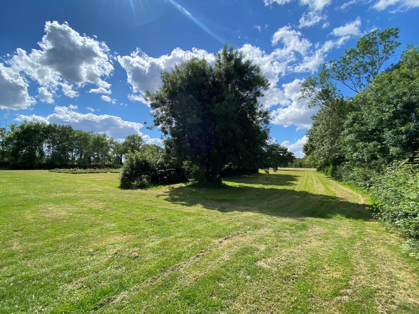 Grass runway and parkland on the estate